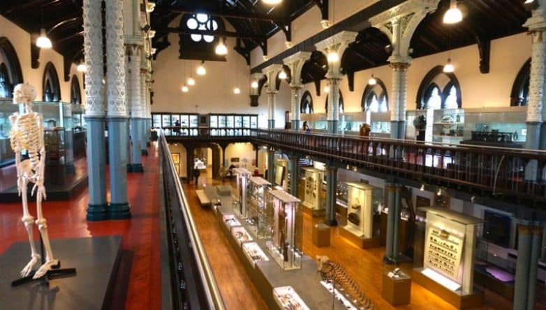 Досуг: Успейте побывать в Hunterian Museum прежде, чем он закроется на три года