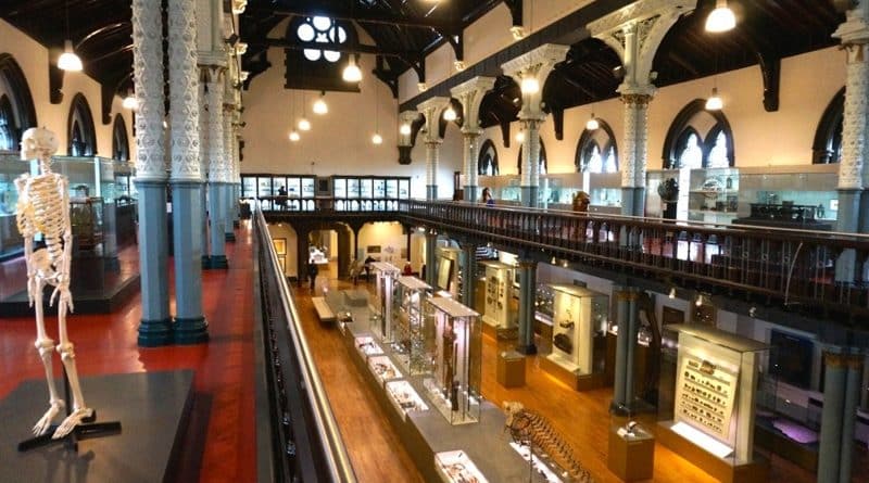 Досуг: Успейте побывать в Hunterian Museum прежде, чем он закроется на три года