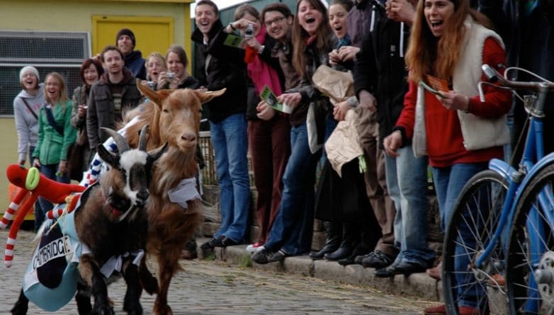 Досуг: Стартовала продажа билетов на Oxford Vs Cambridge Goat Race