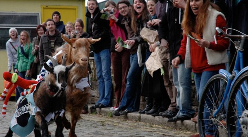 Стартовала продажа билетов на Oxford Vs Cambridge Goat Race 10032017 Досуг: Стартовала продажа билетов на Oxford Vs Cambridge Goat Race