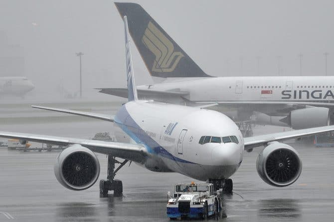 Погода: Более 60 рейсов отменены из-за густого тумана над Лондоном