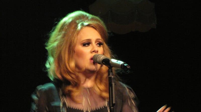 Адель отказалась от пиротехники из-за того, что осколок фейерверка попал её сыну в глаз 02032017 Знаменитости: Адель отказалась от пиротехники из-за того, что осколок фейерверка попал её сыну в глаз