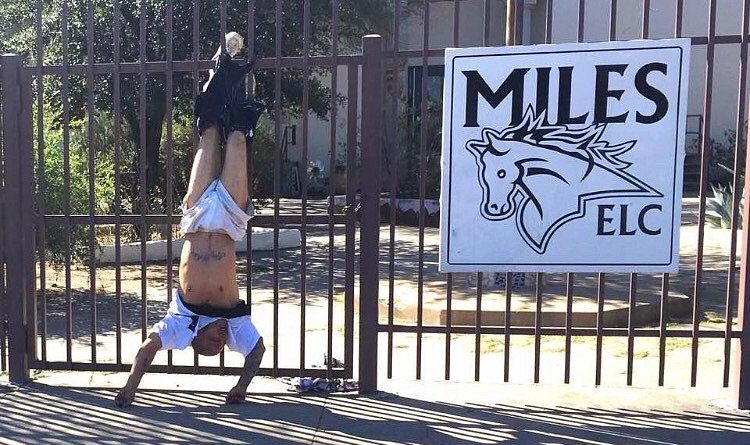 Юмор: Грабитель застрял на заборе из-за мешковатых штанов