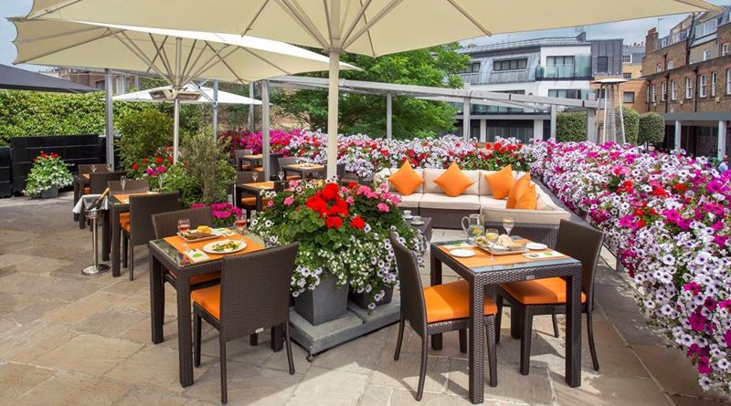 Досуг: Новая терраса от Lowndes Bar & Kitchen с джином