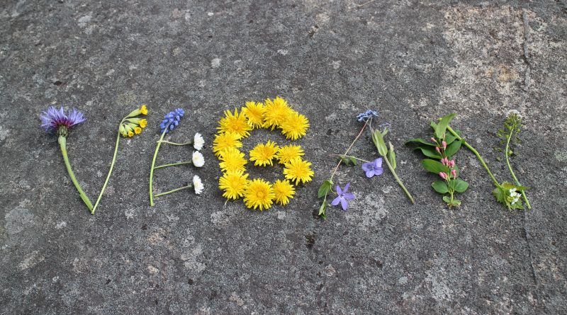 Насилие со стороны защитников прав животных - "вопрос времени"? 01042017 Общество: Насилие со стороны защитников прав животных - "вопрос времени"?