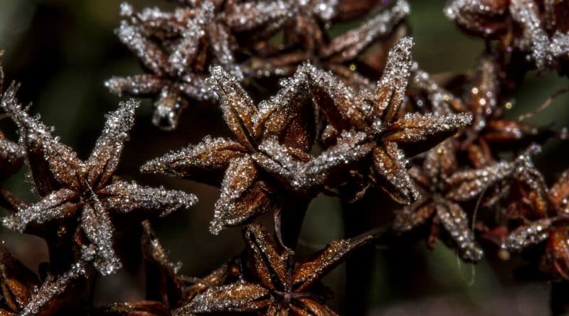 Погода в Британии: Температура достигнет -7 градусов 18042017 Погода: Погода в Британии: Температура достигнет -7 градусов