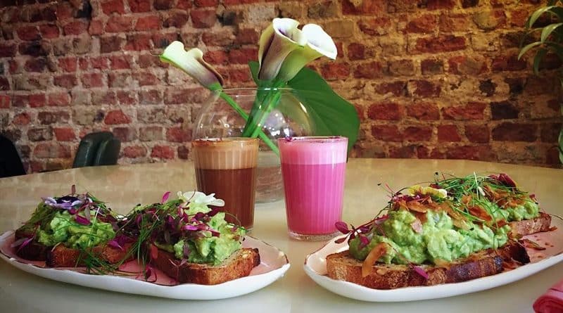 Досуг: Palm Vaults: растения и кофе всех цветов радуги