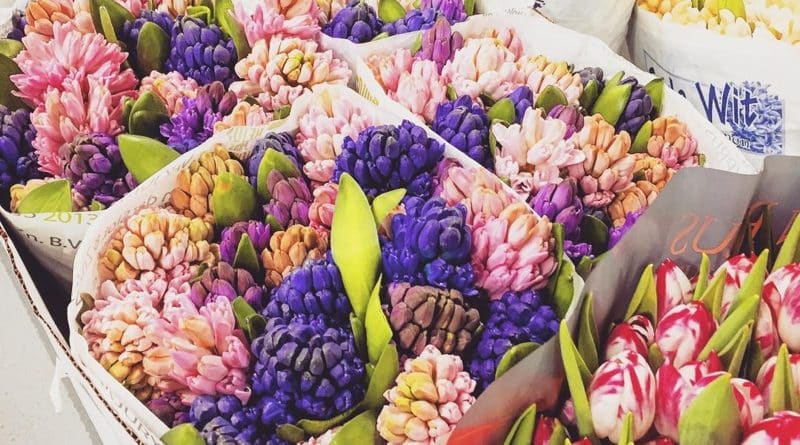 Досуг: Covent Garden Flower Market открылся возле Battersea Power Station