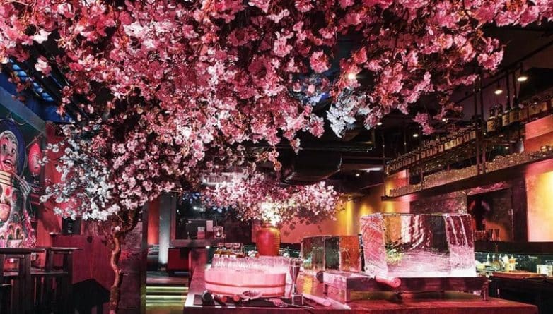 Досуг: В Лондоне скоро появится ресторан с цветущей сакурой