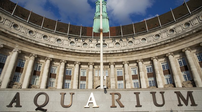 Просекко с акулами или ночь в океанариуме 26042017 Досуг: Просекко с акулами или ночь в океанариуме