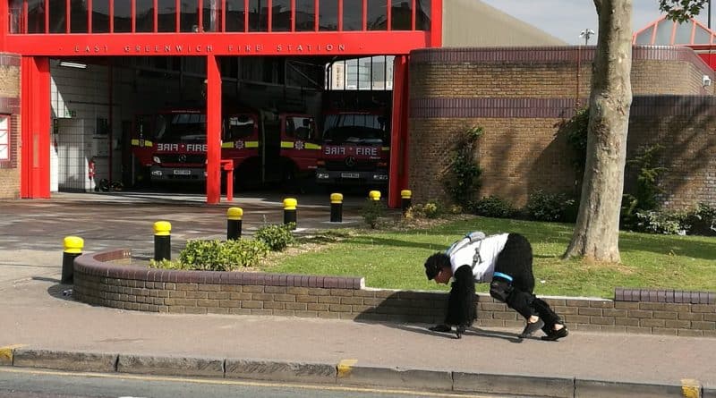 Мужчина в костюме гориллы все еще “бежит” Лондонский марафон 25042017 Юмор: Мужчина в костюме гориллы все еще “бежит” Лондонский марафон