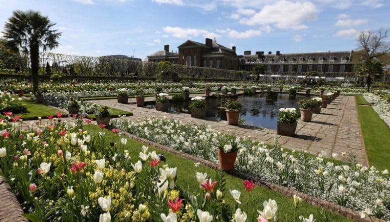Досуг: В Кенсингтонском дворце открылся сад, посвященный принцессе Диане