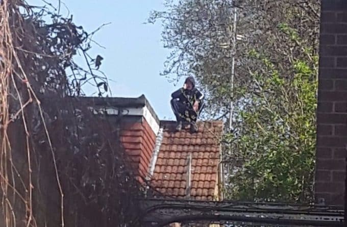 Водитель мопеда подозреваемый в столкновении с полицейской машиной спрятался на крыше соседнего дома 07042017 Юмор: Водитель мопеда подозреваемый в столкновении с полицейской машиной спрятался на крыше соседнего дома