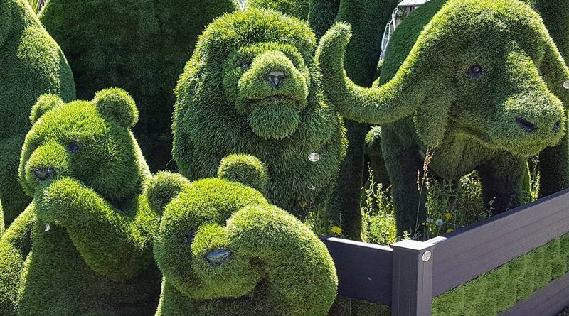Досуг: Chelsea Flower Show 2017: превью перед открытием