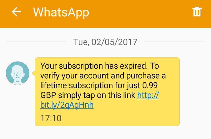 Мошенники нацелились на британских пользователей приложения WhatsApp 31052017 Технологии: Мошенники нацелились на британских пользователей приложения WhatsApp