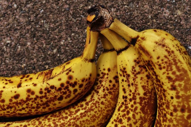 Общество: Британцы выбрасывают полтора миллиона съедобных бананов ежедневно