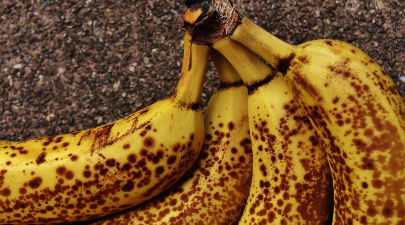 Общество: Британцы выбрасывают полтора миллиона съедобных бананов ежедневно