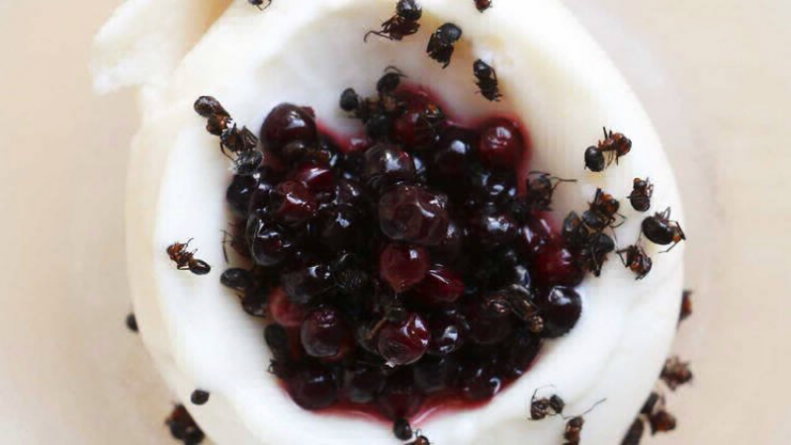Досуг: В Лондоне можно теперь попробовать мороженое со вкусом картошки и муравьиный сорбет