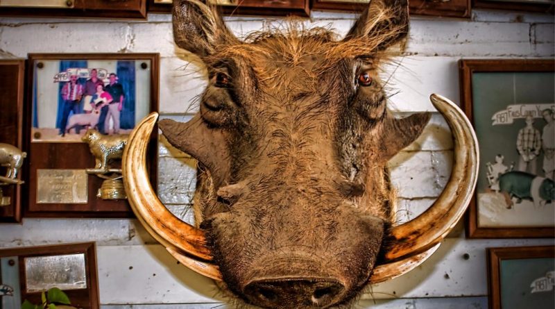 Пианино и голова кабана: что воруют из отелей 17072017 Без рубрики: Пианино и голова кабана: что воруют из отелей