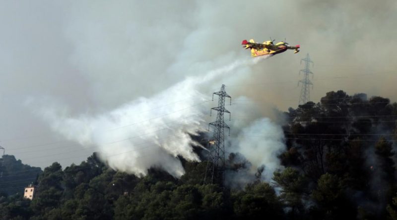 В мире: Юг Европы охватили лесные пожары