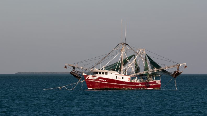Политика: Великобритания закрыла свои воды для иностранных рыбаков