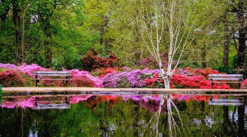 Самые красивые места Британии: Плантация Изабеллы 31072017 Путешествия: Самые красивые места Британии: Плантация Изабеллы