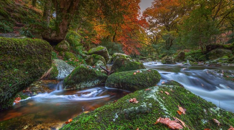 Самые красивые места Британии: мрачное очарование Дартмура 14072017 Досуг: Самые красивые места Британии: мрачное очарование Дартмура