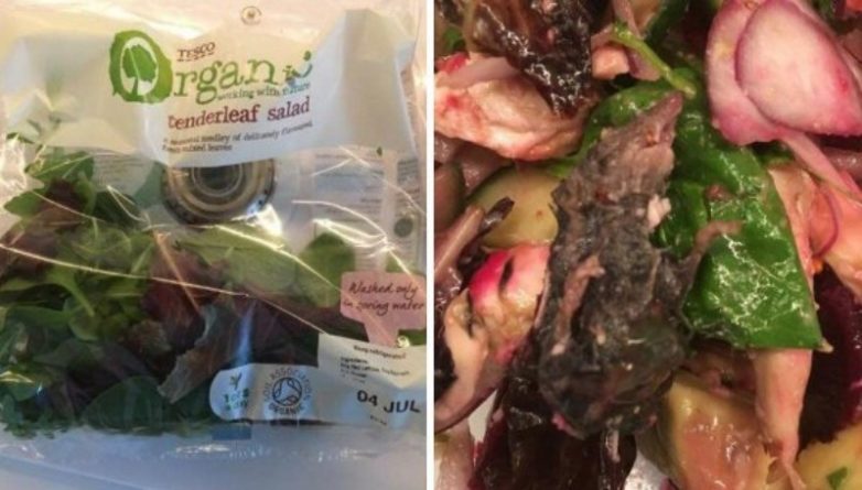 Происшествия: Лондонец чуть не съел дохлую крысу из магазинного салата