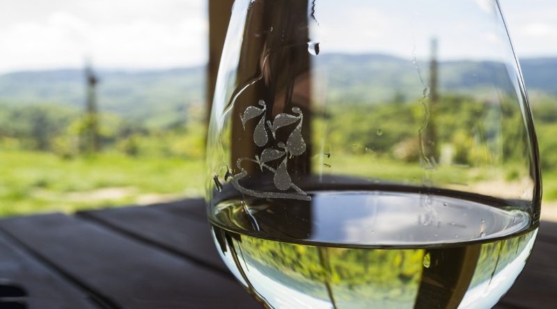 Бизнес и финансы: Brexit стимулирует рост виноделия в Англии