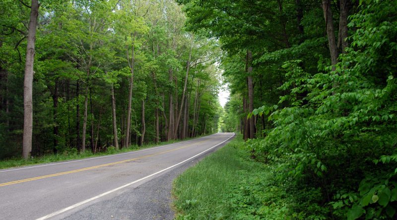 Насильник на велосипеде напал на женщину 04082017 Происшествия: Насильник на велосипеде напал на женщину