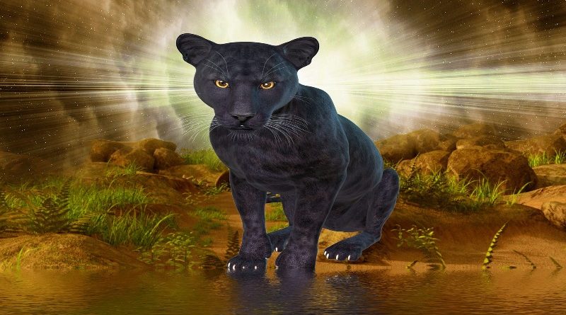 Группа отдыхающих в парке едва спаслась от пантеры 04082017 Происшествия: Группа отдыхающих в парке едва спаслась от пантеры