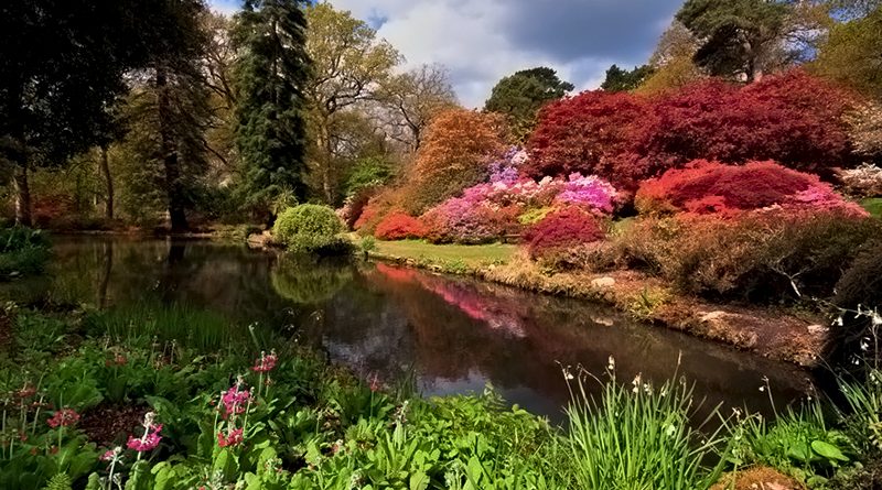 Путешествия: Самые красивые места Британии: Сады Эксбери