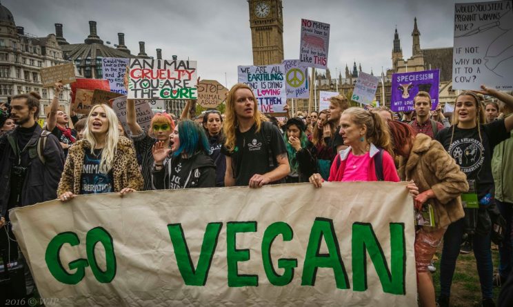 Общество: В Лондоне пройдет марш веганов