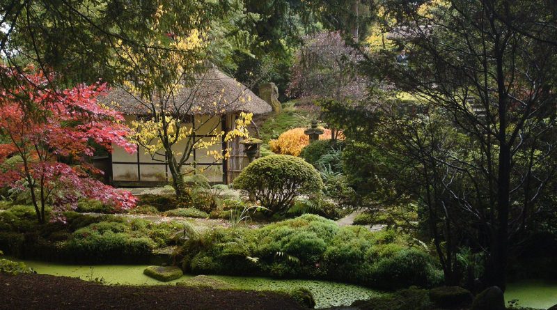 Самые красивые места Британии: чеширский Таттон парк 11082017 Досуг: Самые красивые места Британии: чеширский Таттон парк