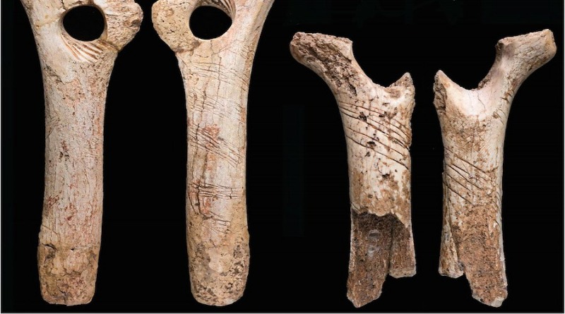 Общество: В пещере нашли кости людей, съеденных каннибалами