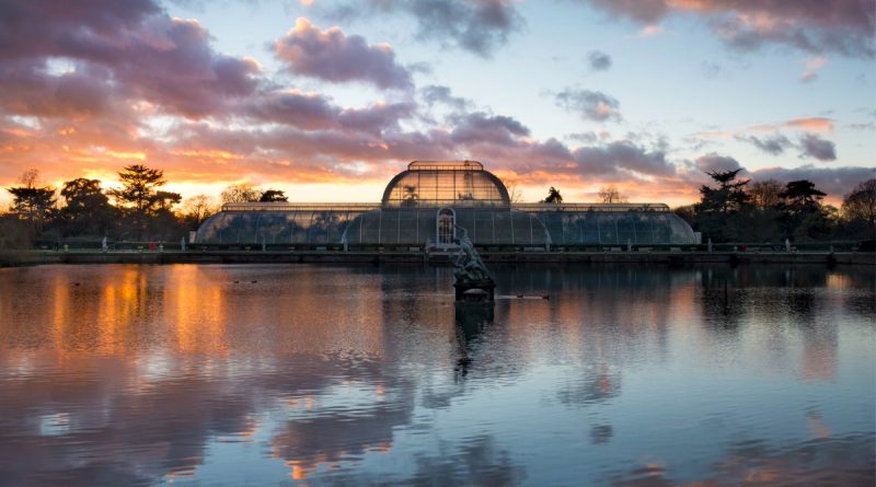 Самые красивые места Британии: Королевские ботанические сады Кью 13082017 Путешествия: Самые красивые места Британии: Королевские ботанические сады Кью