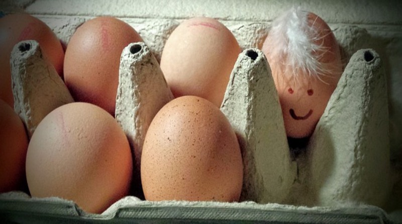 Здоровье и красота: В Британии успели продать 700 тысяч яиц с потенциально опасными пестицидами