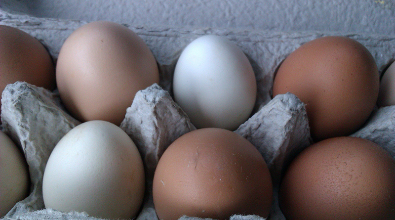 Бизнес и финансы: Супермаркеты срочно изымают из продажи потенциально опасные яйца