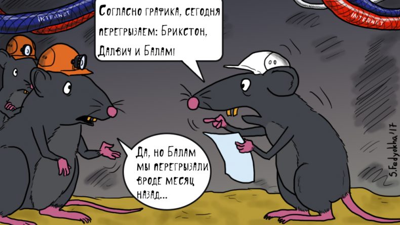 Юмор: Крысы против интернета