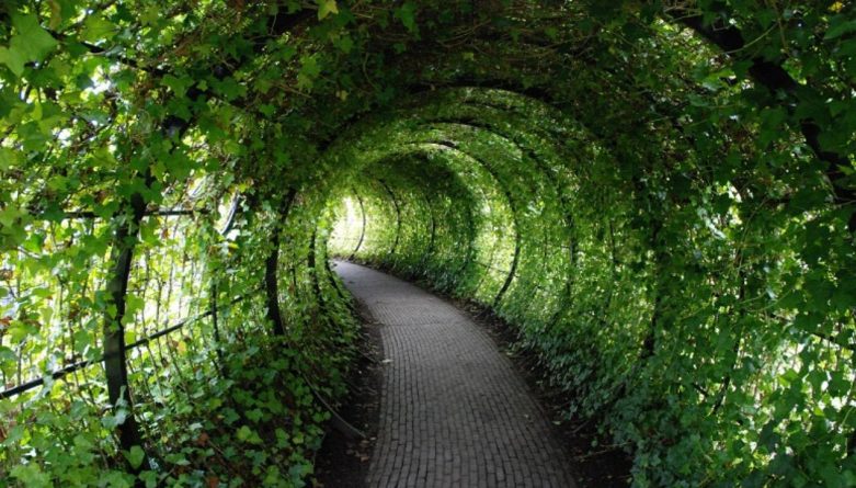 Путешествия: Самые красивые места Британии: Необычные сады Альнвика