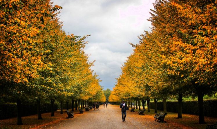Галерея: Чарующие места Лондона, где нужно успеть побывать, пока не опали листья