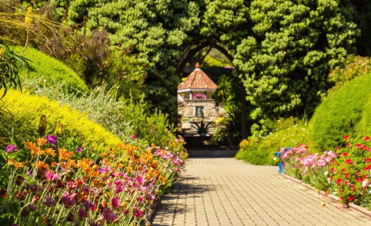 Досуг: Самые красивые места Британии: тропические сады в Аббатстве Треско