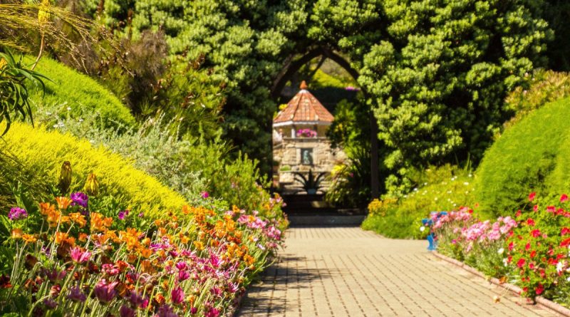Досуг: Самые красивые места Британии: тропические сады в Аббатстве Треско