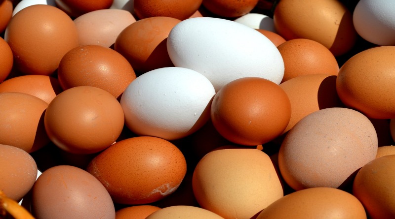Лайфхаки и советы: Как прочитать штрих-код на яйцах