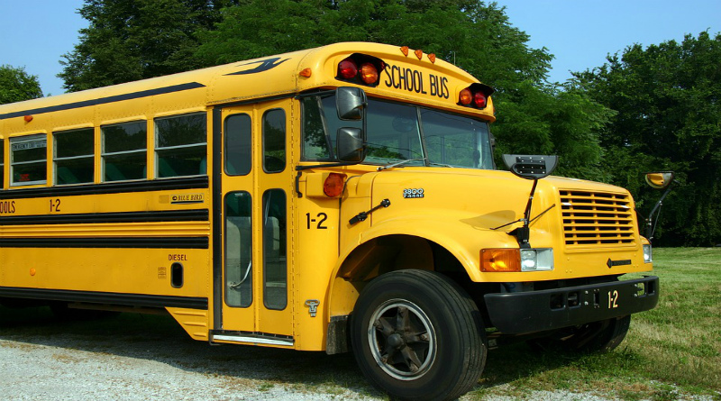 Лайфхаки и советы: Кто может претендовать на бесплатный школьный транспорт