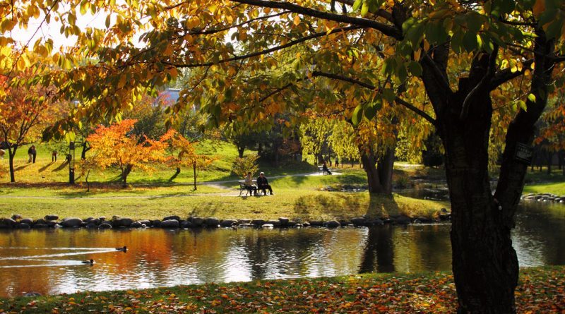 Парки, осень в которых особенно волшебна 29102017 Досуг: Парки, осень в которых особенно волшебна