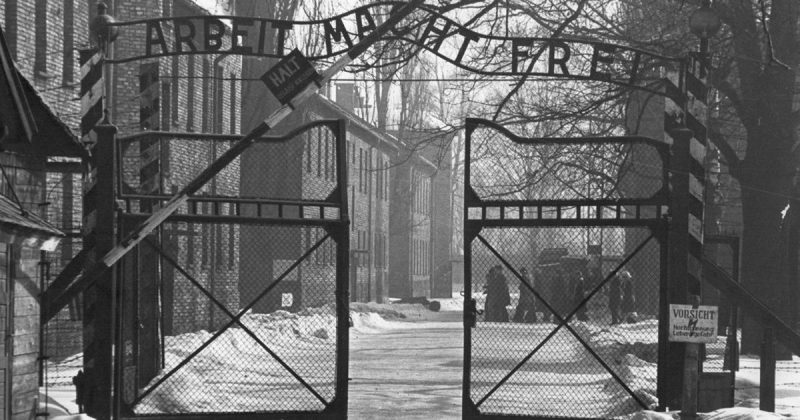 Общество: Администрация Кембриджа приветствовала студентов изображением Освенцима