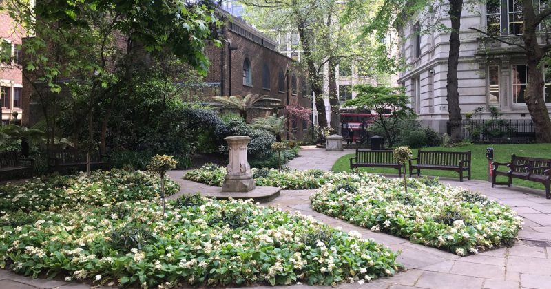 Досуг: Тайные сады центрального Лондона