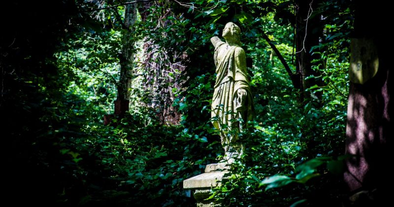 Галерея: Самые красивые места Британии: кладбище парка Эбни