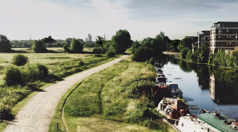 Досуг: В Лондоне откроют один из крупнейших водно-болотных парков